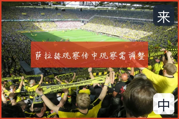 萨拉赫观察传中观察需调整